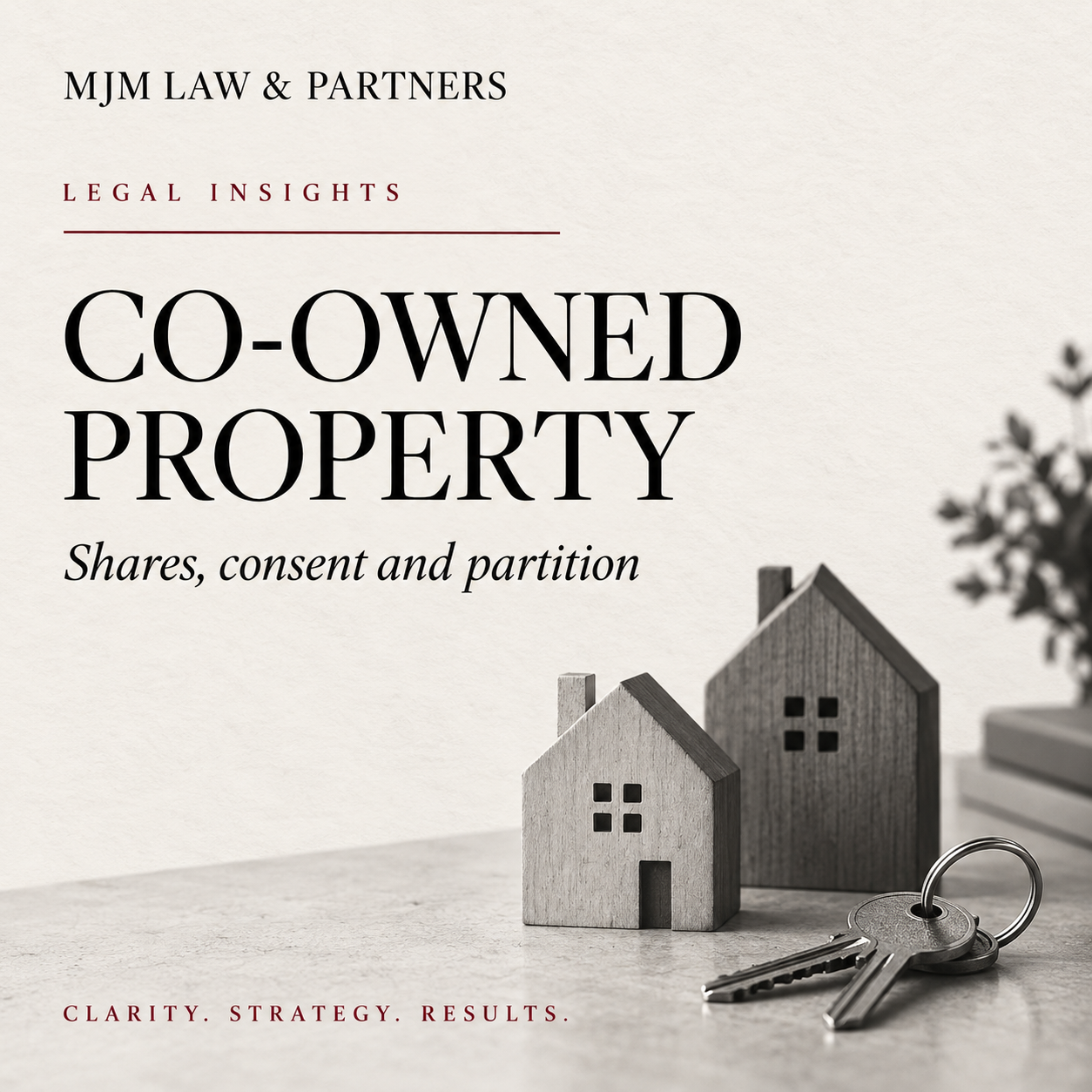 Co-Owned Property: Can One Owner Sell, Occupy, or Partition It?